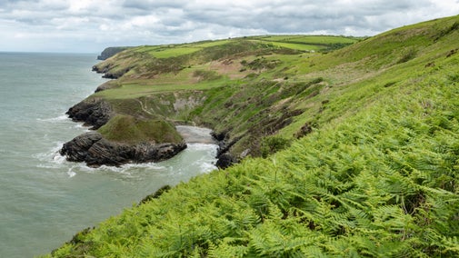 Iron Age hillfort on Coast Path at Pen y Graig between New Quay and Cwmtydu, Cardigan Bay, Ceredigion, Wales